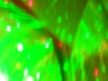 DSCN2882