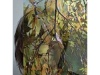 Grüne Brille (Tarnung), 2020, Fotografie-Druck , Doppelbelichtung, 21 x 21 cm Gruene Brille web jpg3